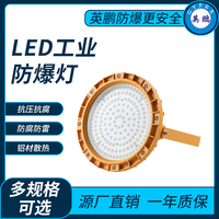 LED工业防爆灯