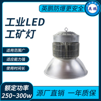 工业LED工矿灯250~300w
