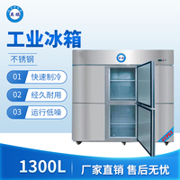 工业不锈钢冰箱1300L冷冻款