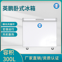 英鹏300升冰箱-小型商用冷藏冷冻单温冷柜-保鲜冷冻卧式冰箱