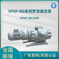 YPVP-RD1000罗茨真空泵