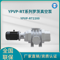 YPVP-RT2200罗茨真空泵