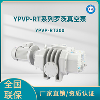 YPVP-RT300罗茨真空泵