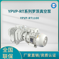 YPVP-RT1100罗茨真空泵