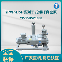YPVP-DSP1100干式螺杆真空泵