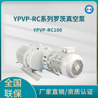 YPVP-RC100罗茨真空泵