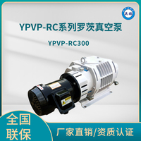 YPVP-RC300罗茨真空泵